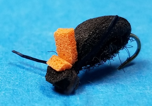 Foam Beetle